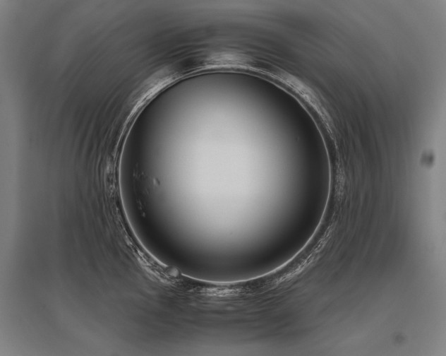 X0000096161145200801181219