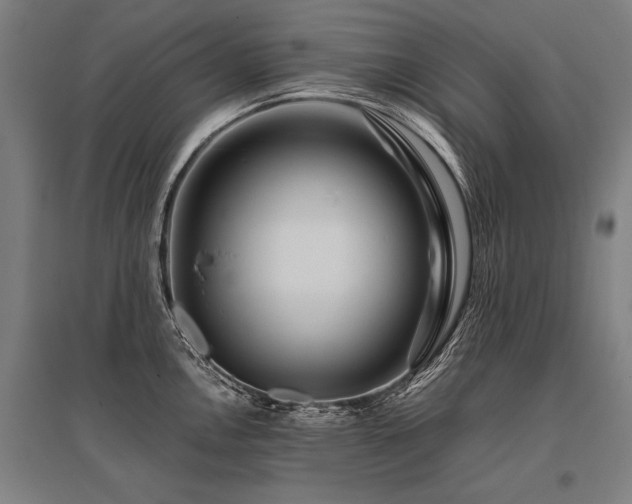 X0000096161146200801181219