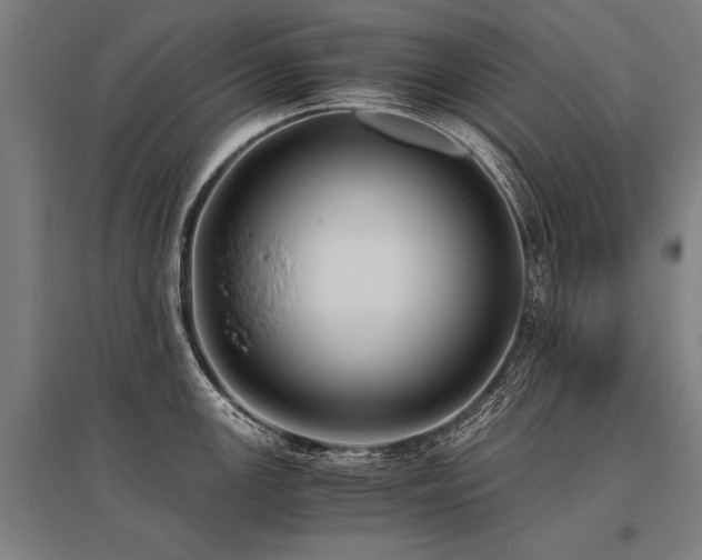 X0000096161147200801181219