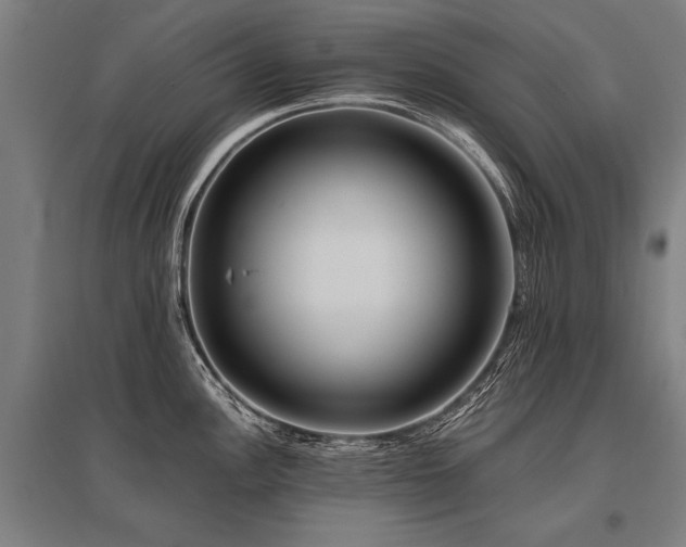 X0000096161148200801181219