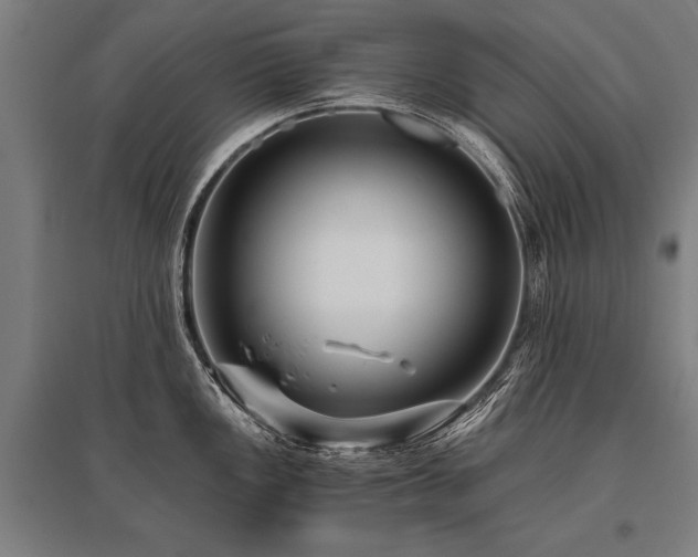 X0000096161149200801181219