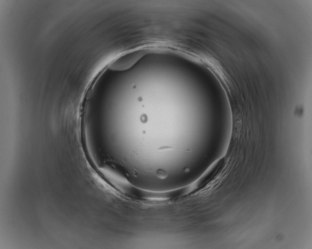 X0000096161151200801181219
