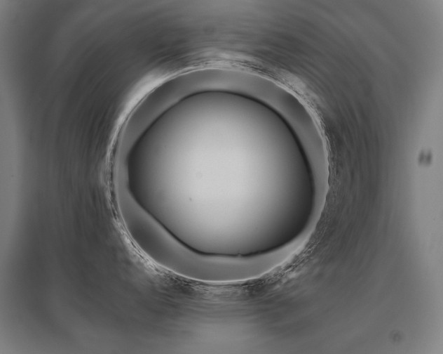 X0000096161152200801181219