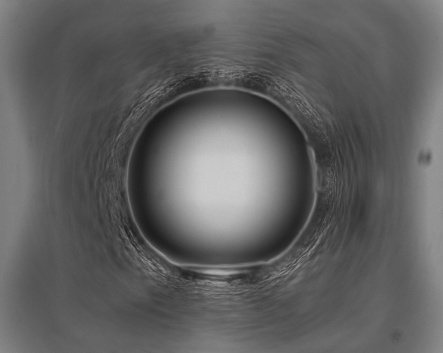 X0000096161153200801181219