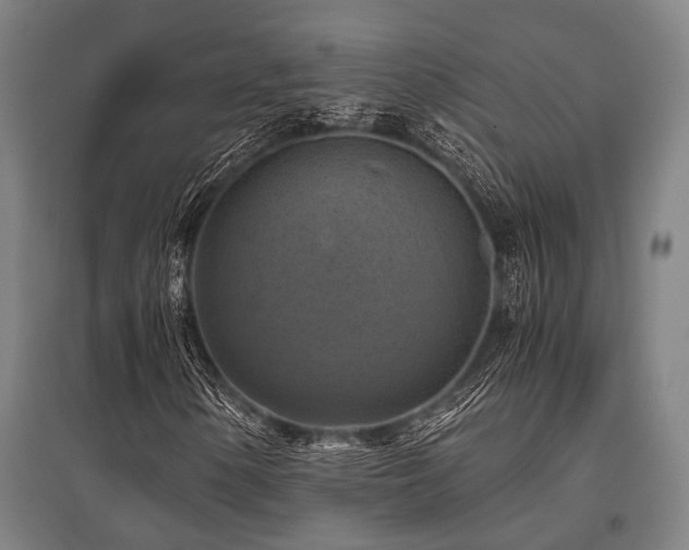 X0000096161154200801181218