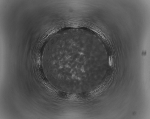 X0000096161155200801181218
