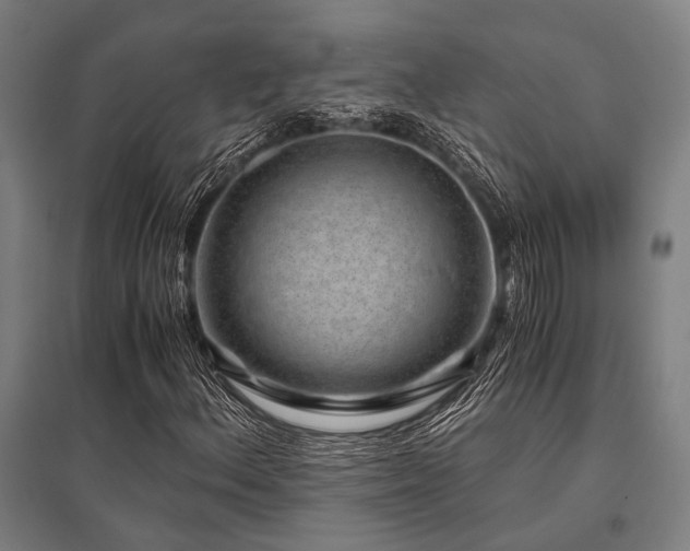 X0000096161156200801181218