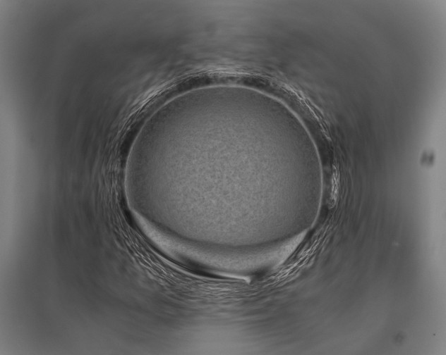 X0000096161157200801181218