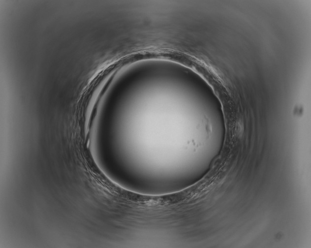 X0000096161160200801181218