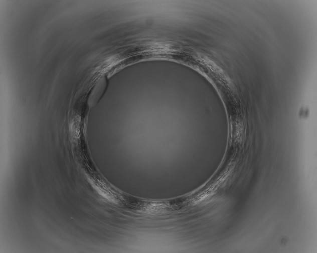 X0000096161161200801181218