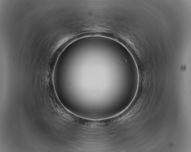 X0000096161163200801181218