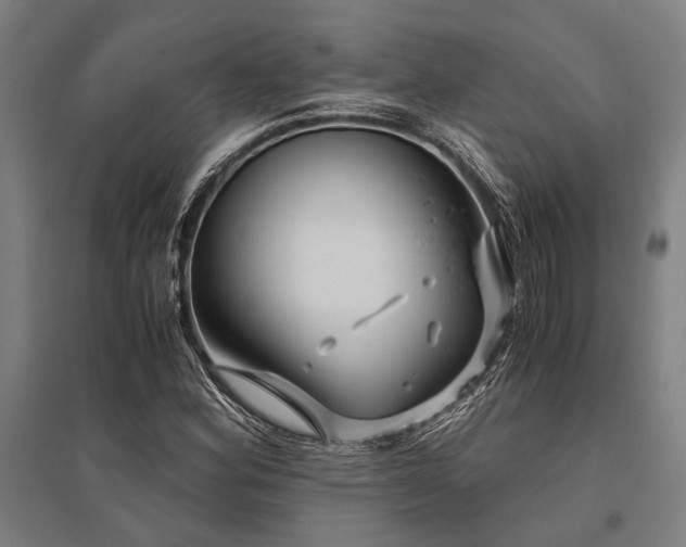 X0000096161164200801181218