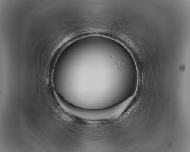 X0000096161165200801181218
