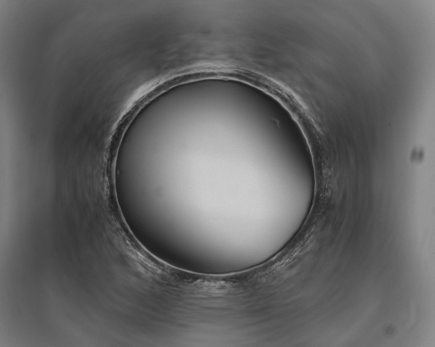 X0000096161168200801181218