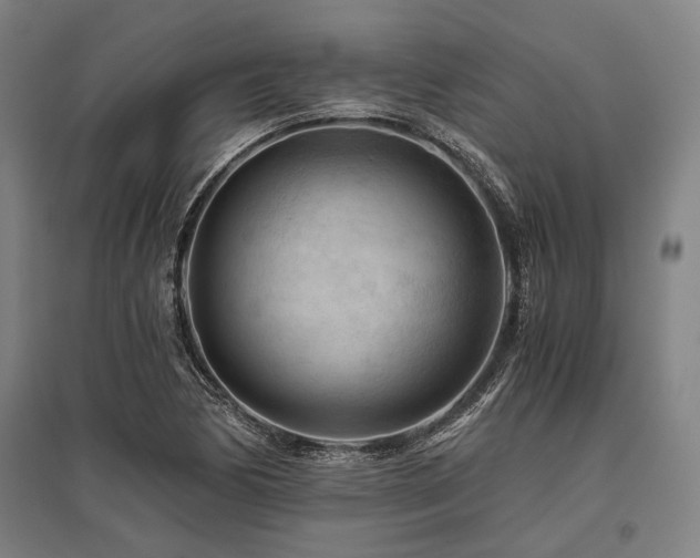 X0000096161170200801181218