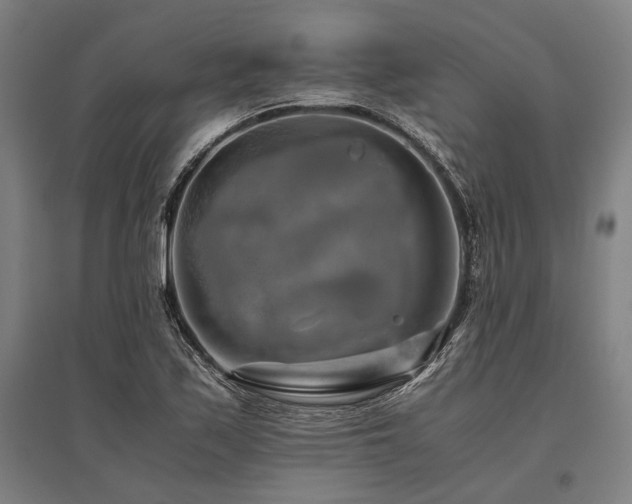 X0000096161171200801181218