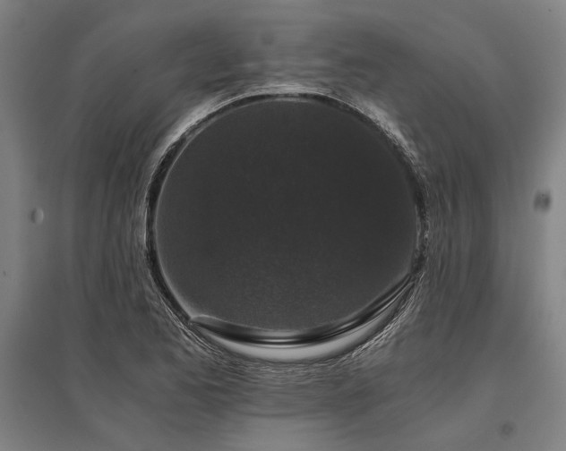 X0000096161173200801181218