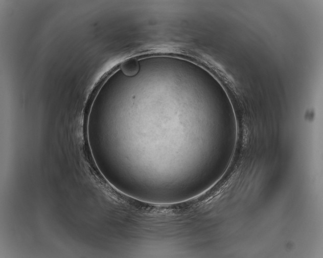 X0000096161174200801181218