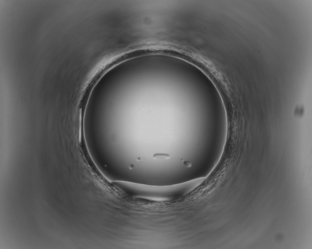 X0000096161175200801181218