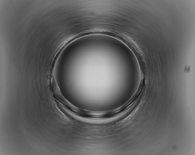 X0000096161177200801181218
