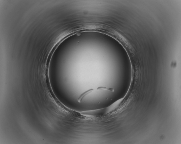 X0000096161178200801181218