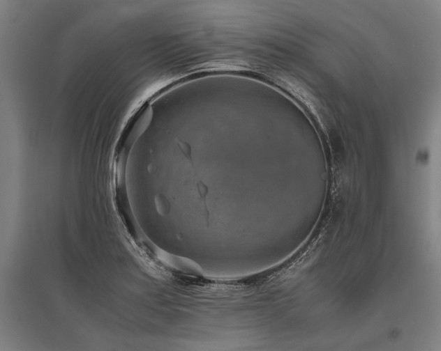 X0000096161179200801181218