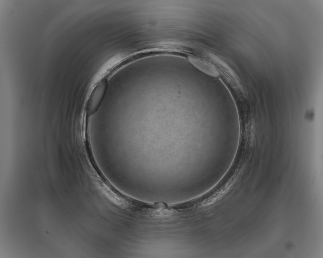 X0000096161180200801181218