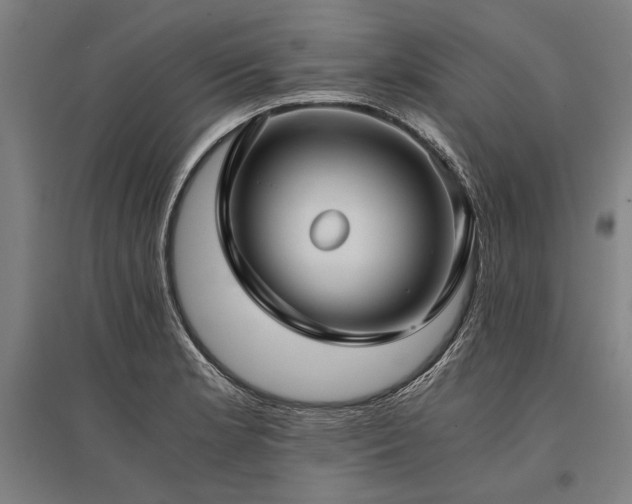 X0000096161181200801181218