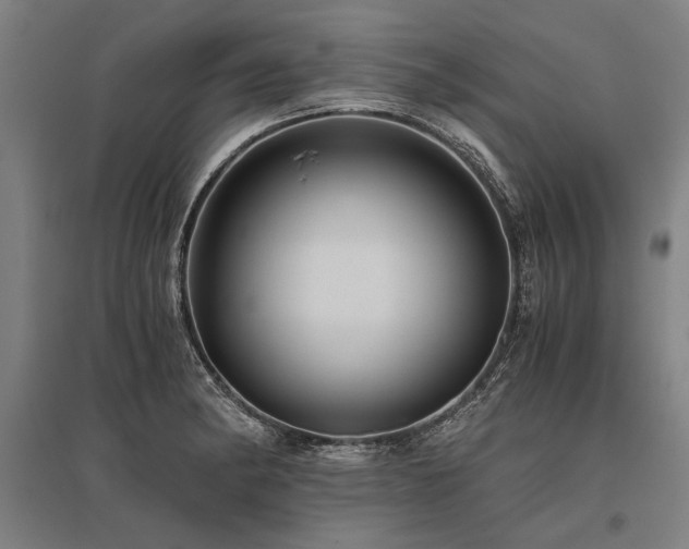 X0000096161182200801181218