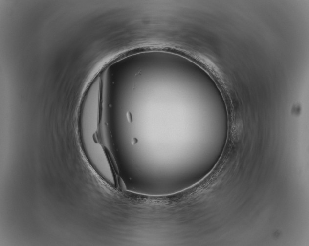 X0000096161183200801181218