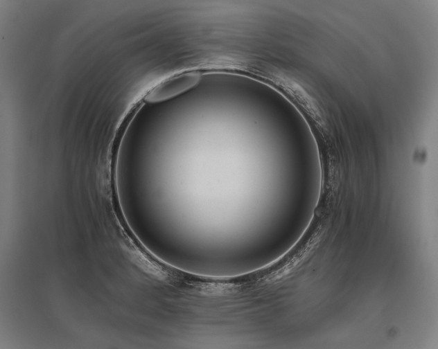 X0000096161184200801181218