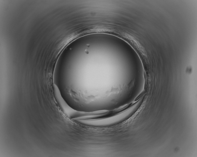 X0000096161185200801181218