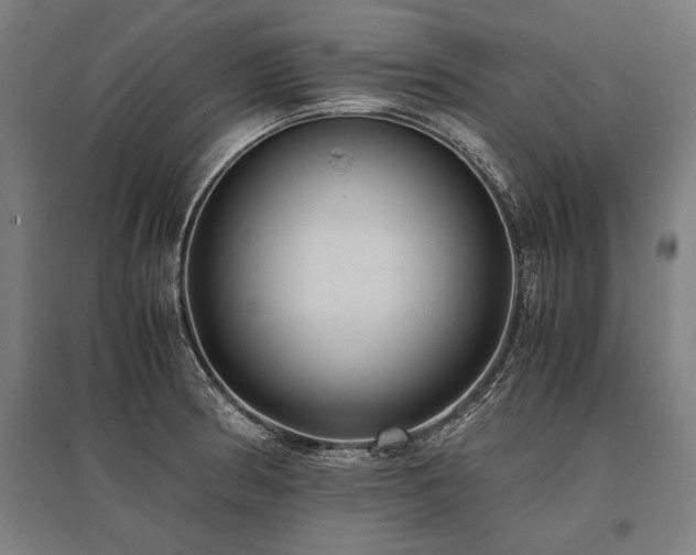 X0000096161186200801181218