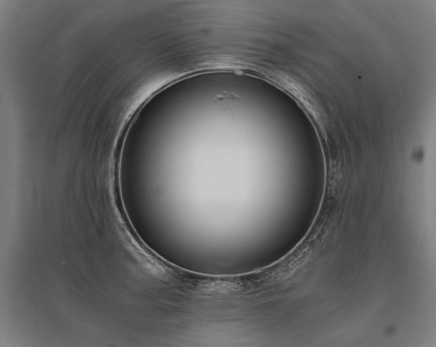X0000096161187200801181218