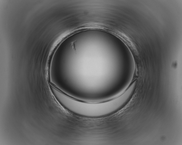 X0000096161188200801181218