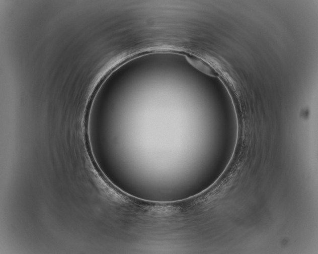 X0000096161189200801181218