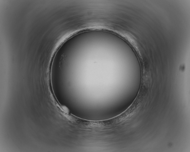 X0000096161191200801181218