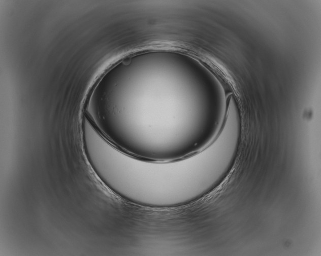 X0000096161192200801181218