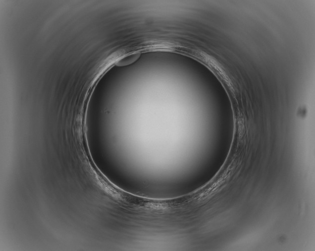 X0000096161194200801181218