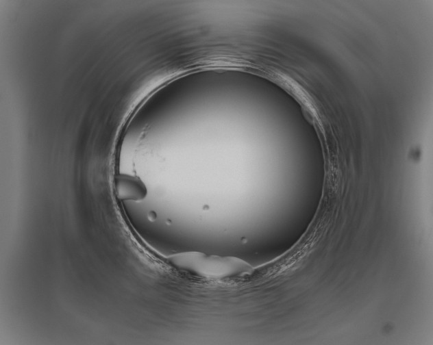 X0000096161195200801181218