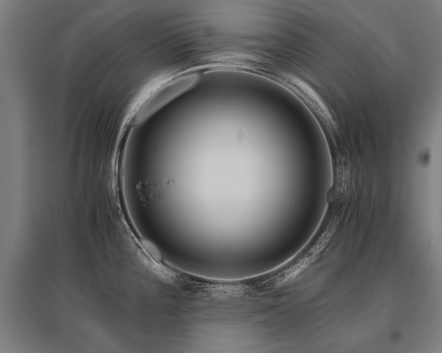 X0000096161196200801181218