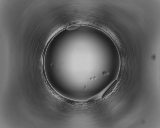 X0000096161198200801181218