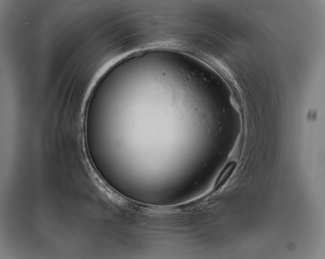 X0000096161200200801181218