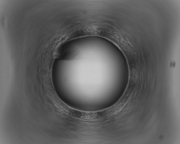 X0000096161201200801181217