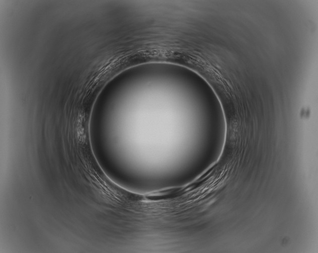 X0000096161202200801181217