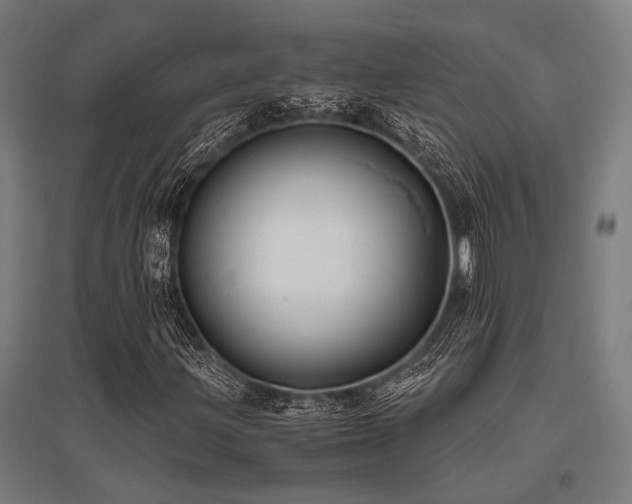 X0000096161203200801181217