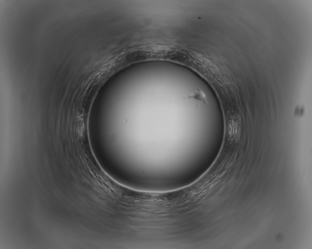 X0000096161204200801181217