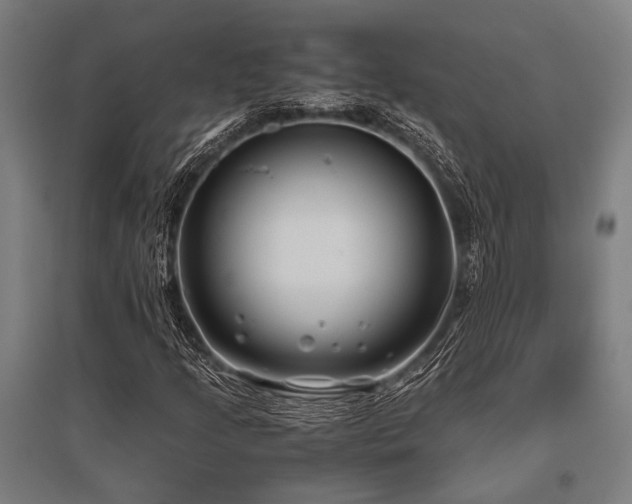 X0000096161205200801181217