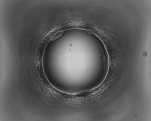 X0000096161206200801181217
