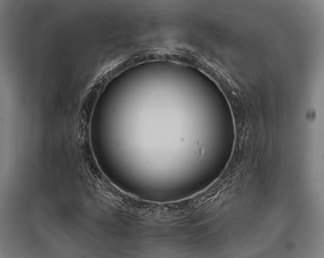 X0000096161207200801181217